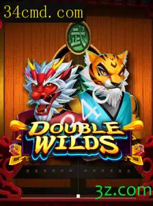 Descubra o Fascinante Mundo de DoubleWilds: Guia Completo e Regras do Jogo